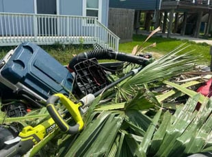 Rajagopalan S.'s Tree Trimming service result