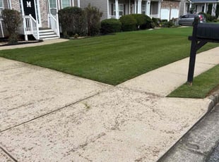 Mike B.'s turf care service result