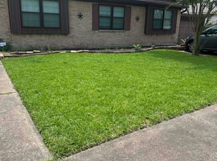 Kim D.'s turf maintenance service result