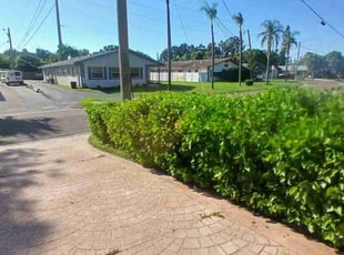 Gerry O.'s lawn service service result