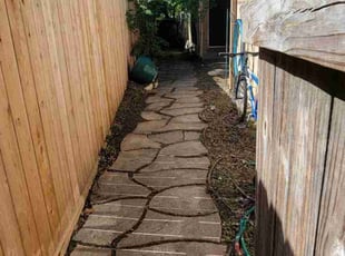 Pete P.'s Leaf Removal service result