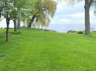 Joey M.'s lawn maintenance service result