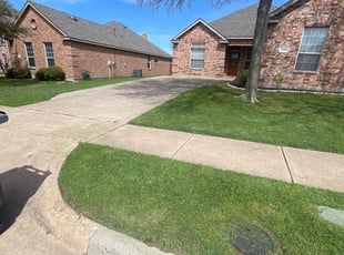 Barbara P.'s lawn care services service result