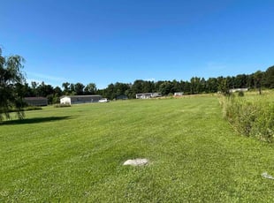 Candice F.'s turf maintenance service result