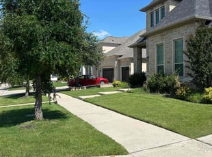 Nicholas B.'s lawn care services service result