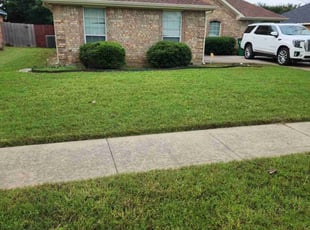 Kendall P.'s grass maintenance service result