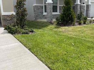 Sarah B.'s lawn maintenance service result