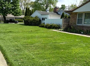 Joe D.'s lawn care service result