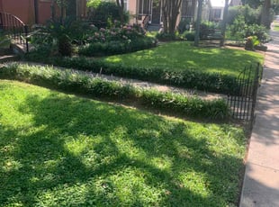 Zach H.'s lawn care services service result