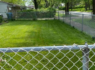 Glenn B.'s lawn maintenance service result