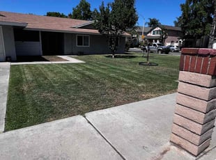 Richard S.'s turf care service result