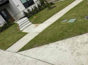 Tomiko P.'s lawn service service result