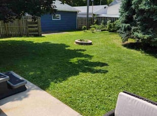 Lohan P.'s turf maintenance service result