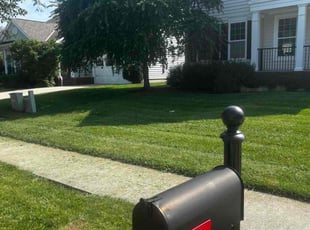 Jan D.'s lawn maintenance service result