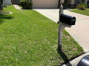 Jennifer W.'s turf maintenance service result