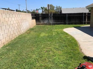 Nena L.'s turf care service result