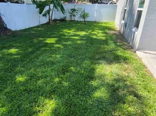 Bharath R.'s grass maintenance service result