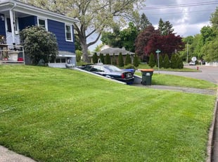Reina M.'s turf maintenance service result