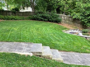 Burke C.'s lawn care service result