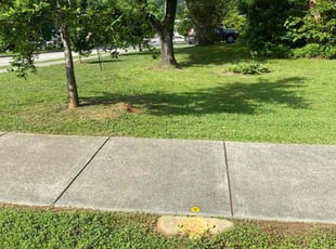 Larry G.'s yard service service result