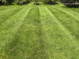 Andrew A.'s lawn care service result