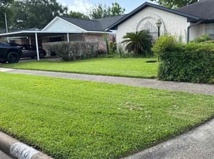 Cynthia V.'s grass cutting service result