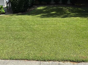 Brenda R.'s lawn care services service result