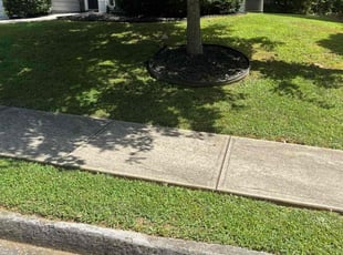 Robert M.'s turf maintenance service result