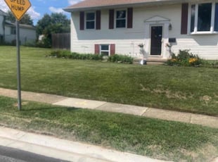 Joy G.'s lawn service service result