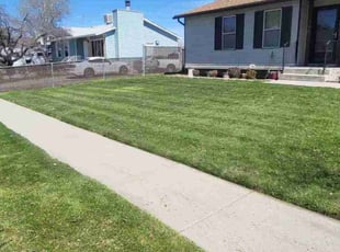 Chelsie R.'s lawn care service result