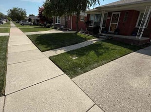 Morgan H.'s lawn care service result