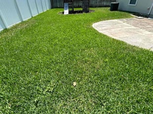 Lisa W.'s grass maintenance service result