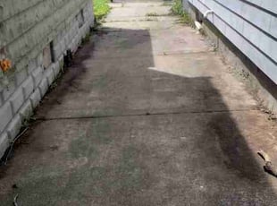 Steve G.'s turf maintenance service result