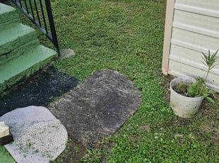 Sangeeta S.'s lawn care services service result