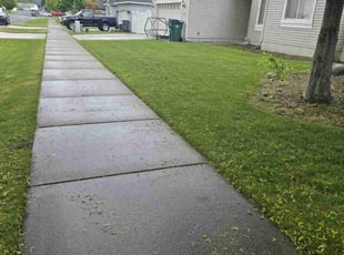Theresa K.'s lawn maintenance service result