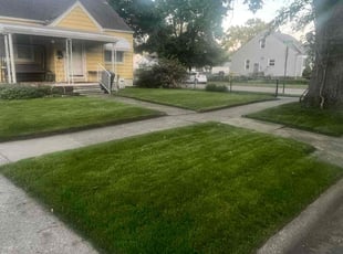 Melissa A.'s turf maintenance service result