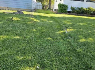 Yvonne C.'s turf maintenance service result