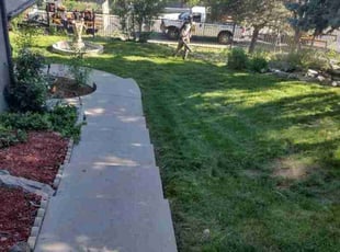 Naveed P.'s lawn care services service result
