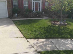 Helga G.'s grass maintenance service result