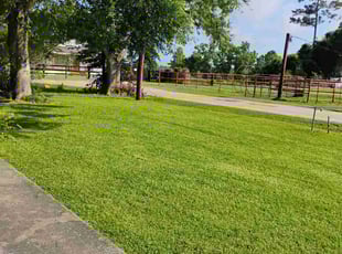 Jeff D.'s lawn service service result