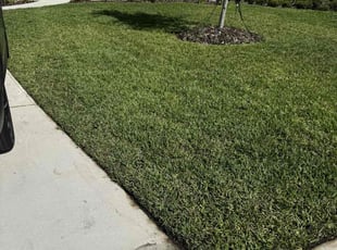Joann T.'s lawn service service result