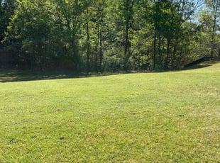Allen P.'s lawn care service result