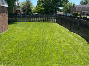 Rachel N.'s lawn care service result