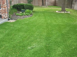 Kelly K.'s lawn maintenance service result