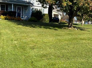 Maureen D.'s lawn care services service result