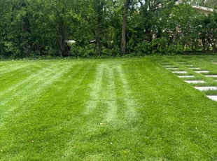 Pam K.'s turf maintenance service result