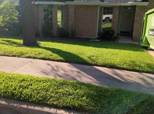 Bekena S.'s grass cutting service result