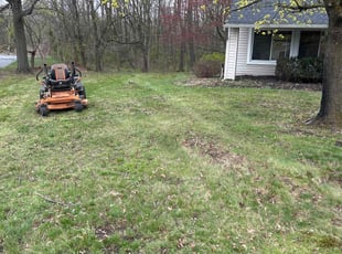 Jody O.'s Leaf Removal service result