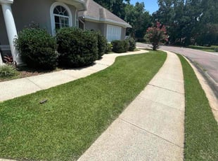 Veronica D.'s lawn care service result