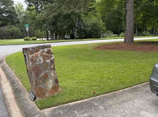 Ernesto F.'s lawn care service result